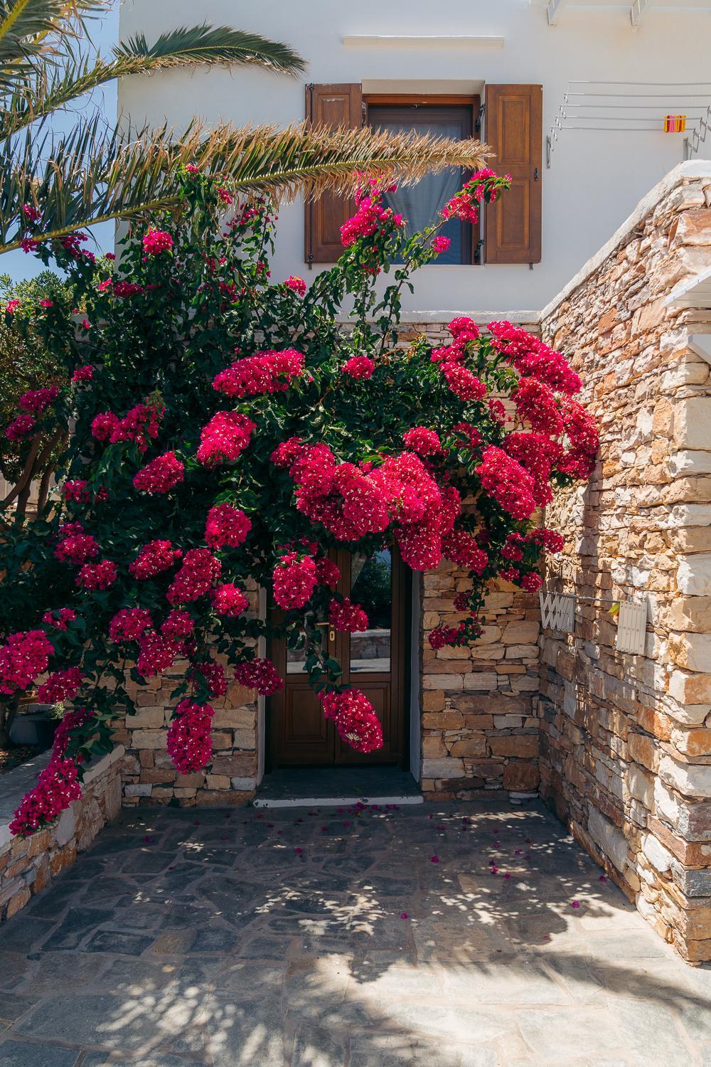 Artemonas Loukia Apartments מראה חיצוני תמונה